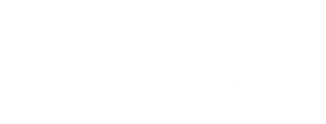 Visco AI